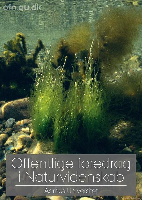 Foredrag: Havets kollaps og vejen tilbage