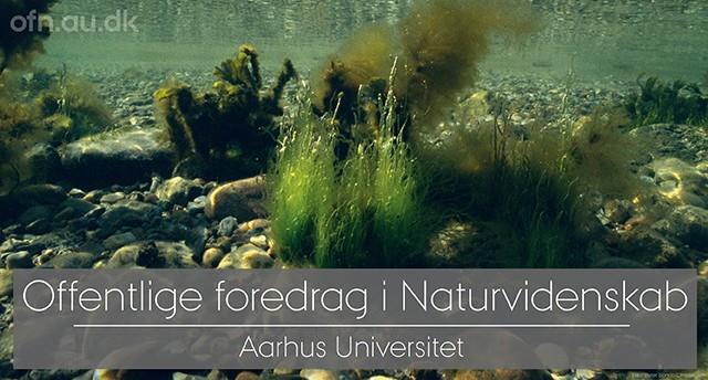 Foredrag: Havets kollaps og vejen tilbage